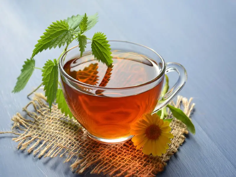 A cup of tea with leaves and flowers on the table.